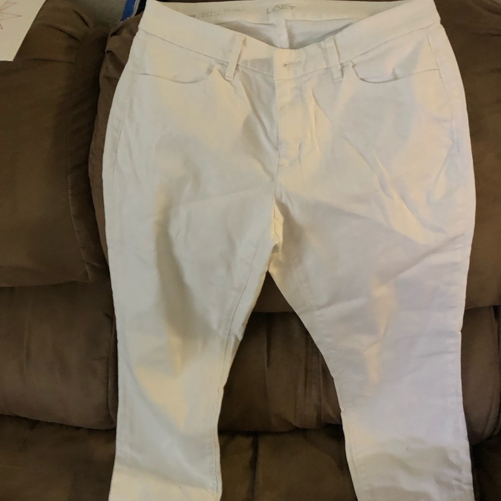 Loft pants